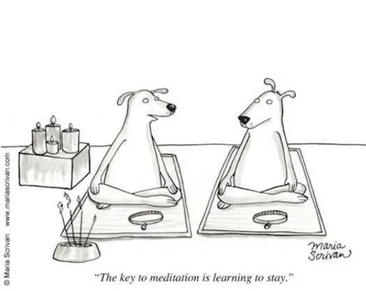 The trick to meditation is learning to Stay